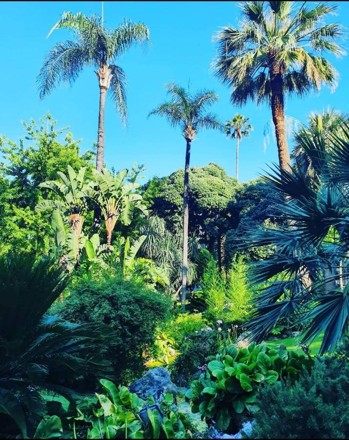 Home For 2 Few Steps From Casino Monte Carlo And Beach Beausoleil Eksteriør bilde